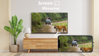 HD Video Screen Mirroring ภาพหน้าจอ 1