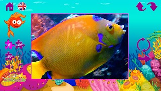 Puzzles fish screenshot 4