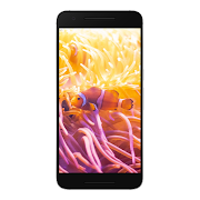 Fish Wallpaper capture d'écran 5