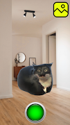 Maxwell Cat Dance screenshot 3