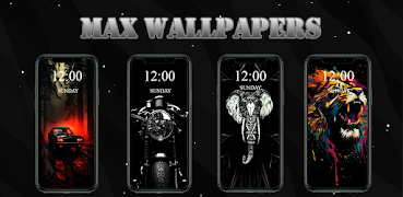 Max Wallpaper gönderen