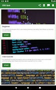 CSS Quiz screenshot 4