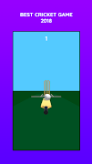 Tic Tok Cricket screenshot 1