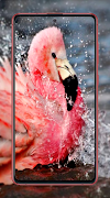 Flamingo Wallpapers ภาพหน้าจอ 2