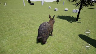Happy Rabbit Simulator screenshot 1