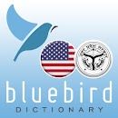 American English - Braj Bhasha APK