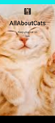 all about cat الملصق