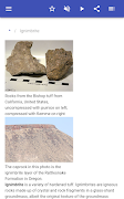 Rocks 截圖 6