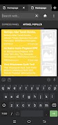 Apk browser captura de pantalla 6
