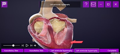 DIMEDUS screenshot 6