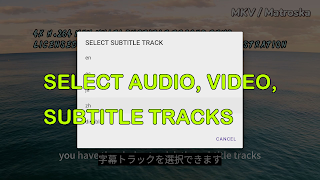 GX IPTV Player Pro スクリーンショット 6
