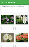 Flower World ภาพหน้าจอ 7