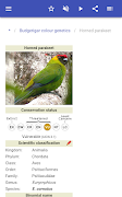 Parrots ภาพหน้าจอ 7