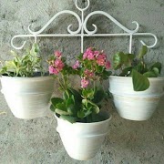 برنامه‌نما Flowered Pots عکس از صفحه