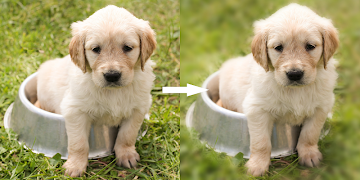 Bokeh Camera (Beta) ảnh chụp màn hình 1