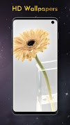 Wall Space - HD Wallpapers captura de pantalla 4