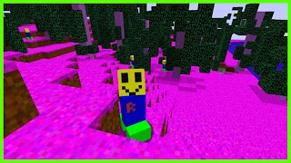 Roblox Hero Mod Minecraft PE screenshot 5