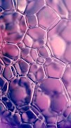 Bubble Wallpapers Cartaz