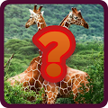 Wild Animals Quiz - Fun Trivia
