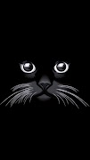 Cat Wallpapers HD 2023 screenshot 3