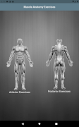 Muscle Buddy screenshot 3