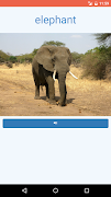 Learn the Animals Flash Cards Pro screenshot 1