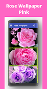 Rose Wallpaper Plakat