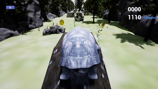 Galapagos Turtle Simulator screenshot 3