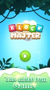 Block Master - Brain Games постер