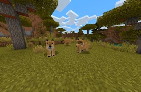 2 Schermata Animals Mod Minecraft PE