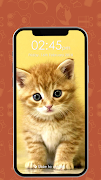 Kitty Cat Passcode Lock Screen poster