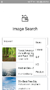 Image Search پوسٹر