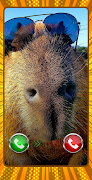 Capybara Funny calling تصوير الشاشة 1