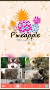 ชุดรูปแบบคีย์บอร์ด Pineapple ภาพหน้าจอ 3