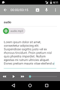 Transcription Tool スクリーンショット 2