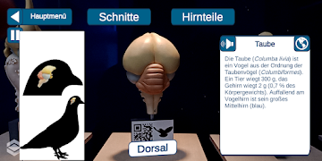 ARiGA App Screenshot 2