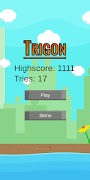 Trigon plakat