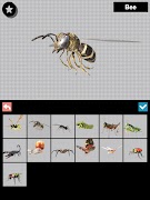 برنامه‌نما Insect 3D Reference عکس از صفحه