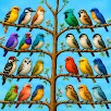 Bird Sort Fun Color Puzzle APK