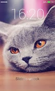 4 Schermata Schermo di serratura dei gatti
