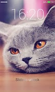 Cats Lock Screen screenshot 4