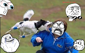 Troll Face Meme Sticker screenshot 7