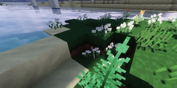 1 Schermata Live Craft