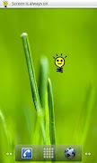 Always On Screenshot 3