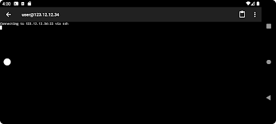 SSH Terminal Client screenshot 3