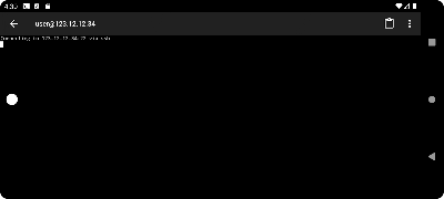برنامه‌نما SSH Terminal Client عکس از صفحه