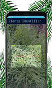 برنامه‌نما Simulator Plants Identifier عکس از صفحه