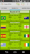 Copa 2014 Screenshot 6