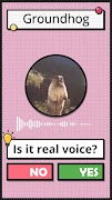 Real Voice Master Screenshot 4