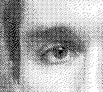 برنامه‌نما Spel Dither عکس از صفحه